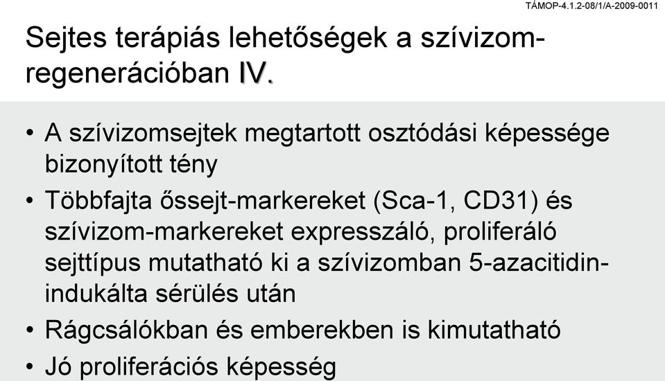 őssejt-markereket (Sca-1, CD31) és szívizom-markereket expresszáló, proliferáló sejttípus