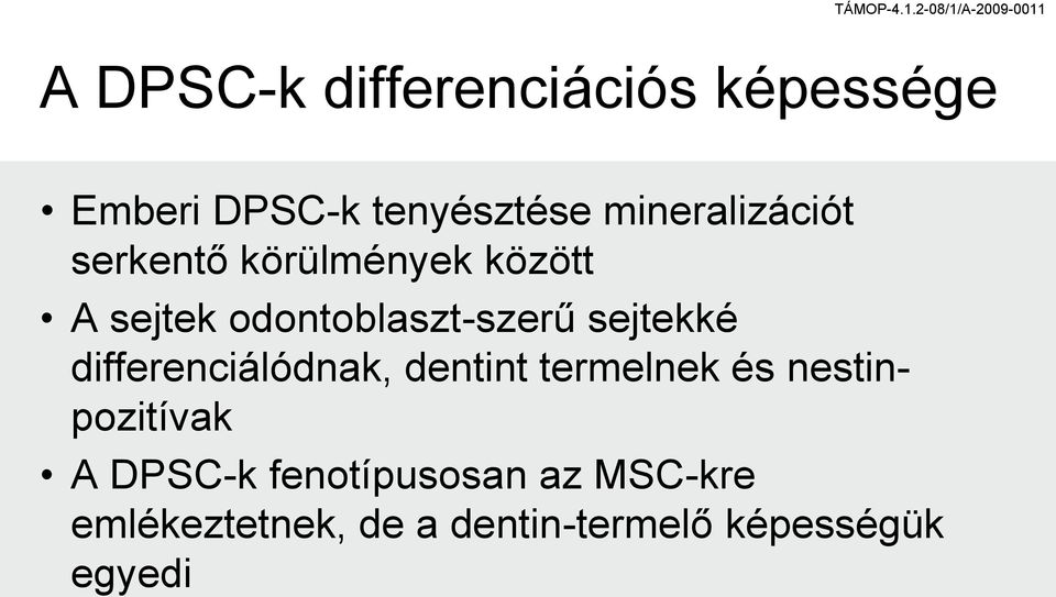 sejtekké differenciálódnak, dentint termelnek és nestinpozitívak A