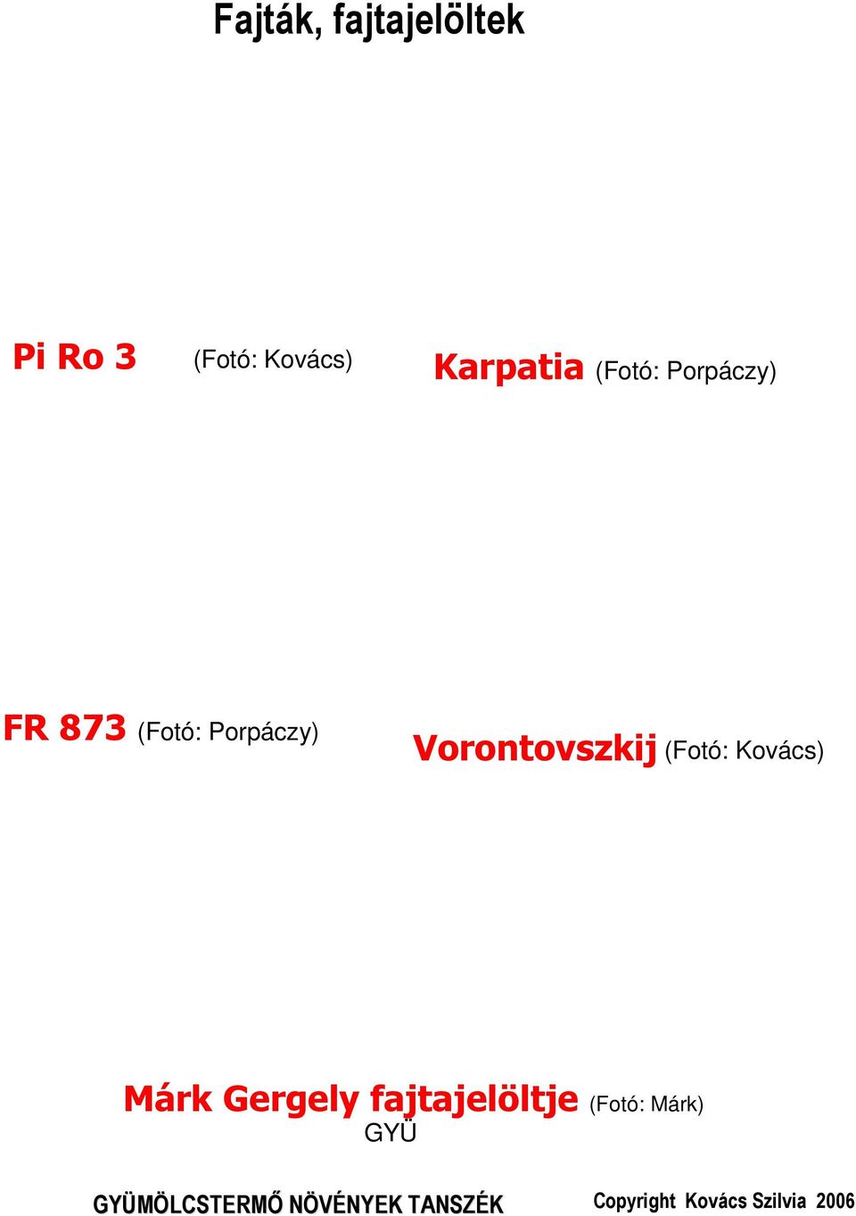 Porpáczy) Vorontovszkij (Fotó: Kovács) Márk