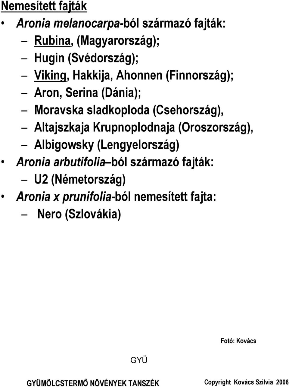 Altajszkaja Krupnoplodnaja (Oroszország), Albigowsky (Lengyelország) Aronia arbutifolia ból származó