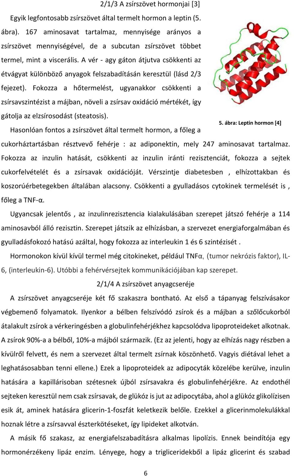 A vér - agy gáton átjutva csökkenti az étvágyat különböző anyagok felszabadításán keresztül (lásd 2/3 fejezet).