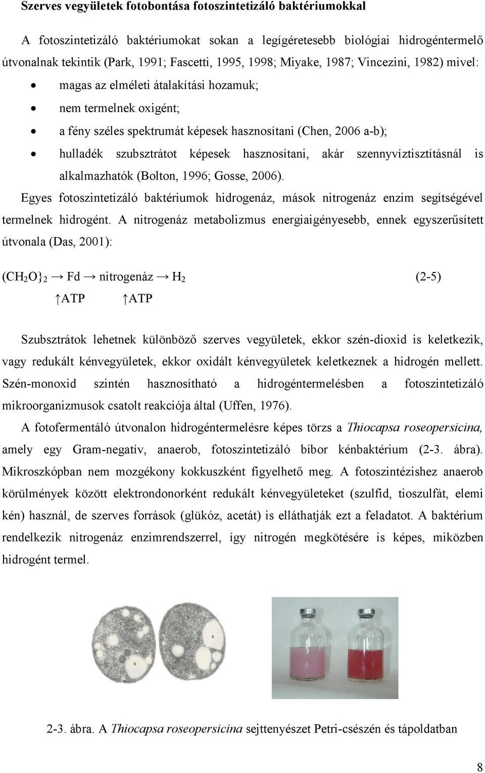 hasznosítani, akár szennyvíztisztításnál is alkalmazhatók (Bolton, 1996; Gosse, 2006). Egyes fotoszintetizáló baktériumok hidrogenáz, mások nitrogenáz enzim segítségével termelnek hidrogént.