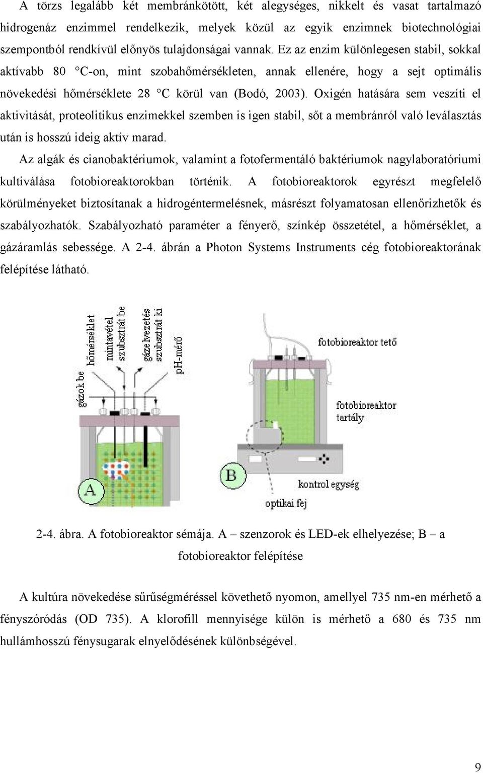 Oxigén hatására sem veszíti el aktivitását, proteolitikus enzimekkel szemben is igen stabil, sıt a membránról való leválasztás után is hosszú ideig aktív marad.