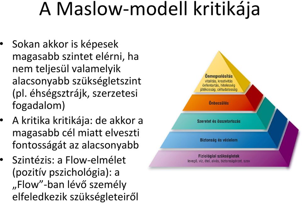 éhségsztrájk, szerzetesi fogadalom) A kritika kritikája: de akkor a magasabb cél miatt