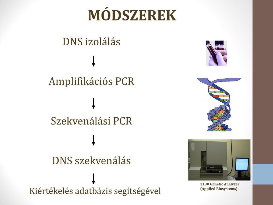 Kiértékelés adatbázis segítségével