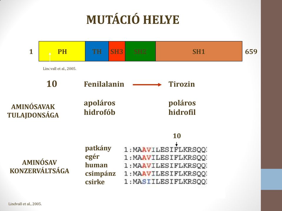 10 Fenilalanin Tirozin AMINÓSAVAK TULAJDONSÁGA apoláros