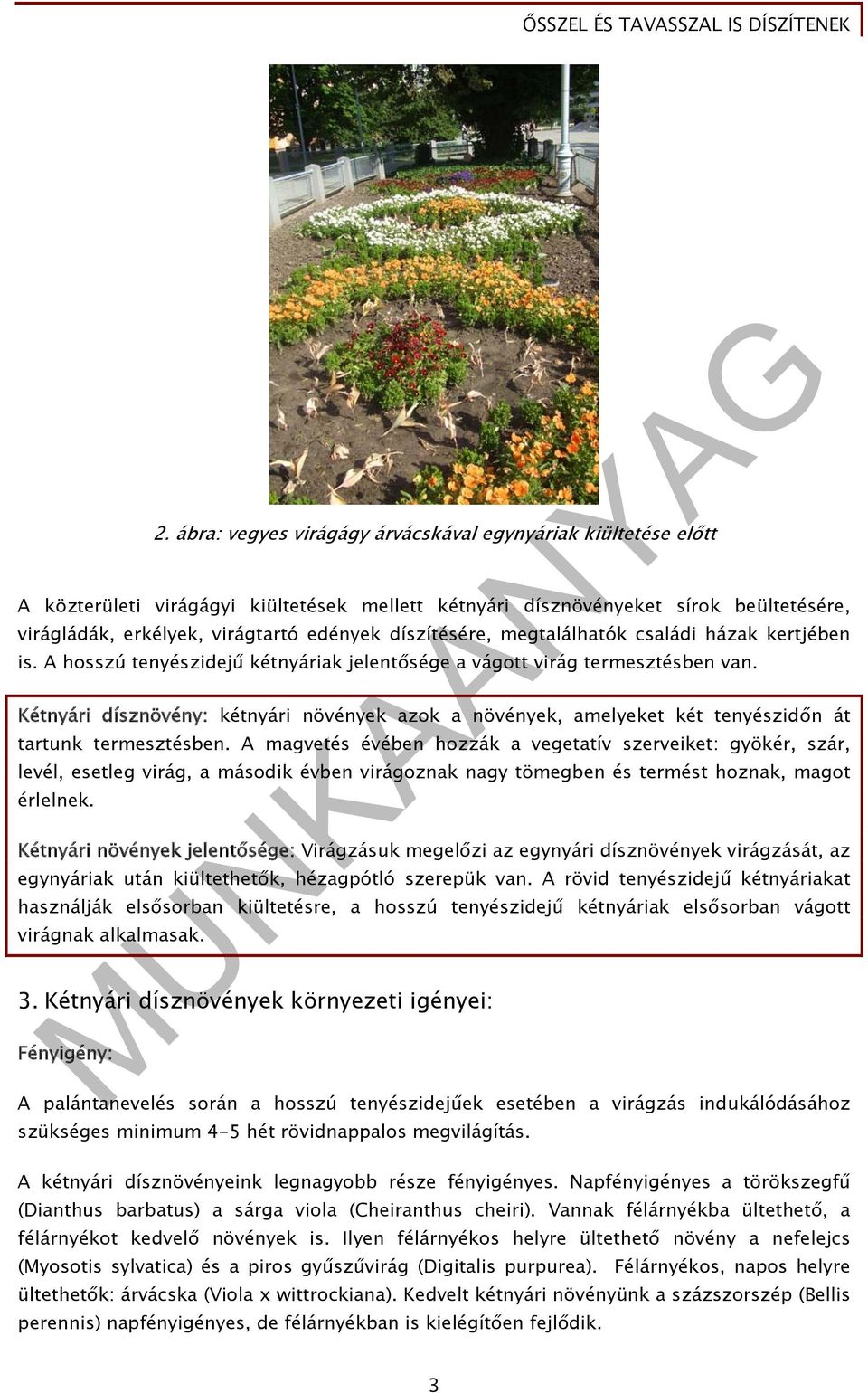 Ősszel és tavasszal is díszítenek (Kétnyári dísznövények fogalma,  jelentősége, csoportosítása - PDF Free Download
