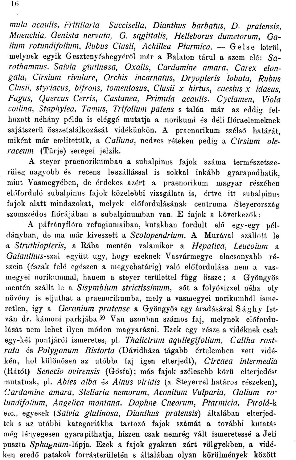 Salvia glutinosa, Oxalis, Cardamine amara, Carex elongata, Cirsium rivulare, Orchis incarnatus, Dryopteris lobata, Rubus Clusii, styriacus, bifrons, tomentosus, Clusii x hirtus, caesius x idaeus,