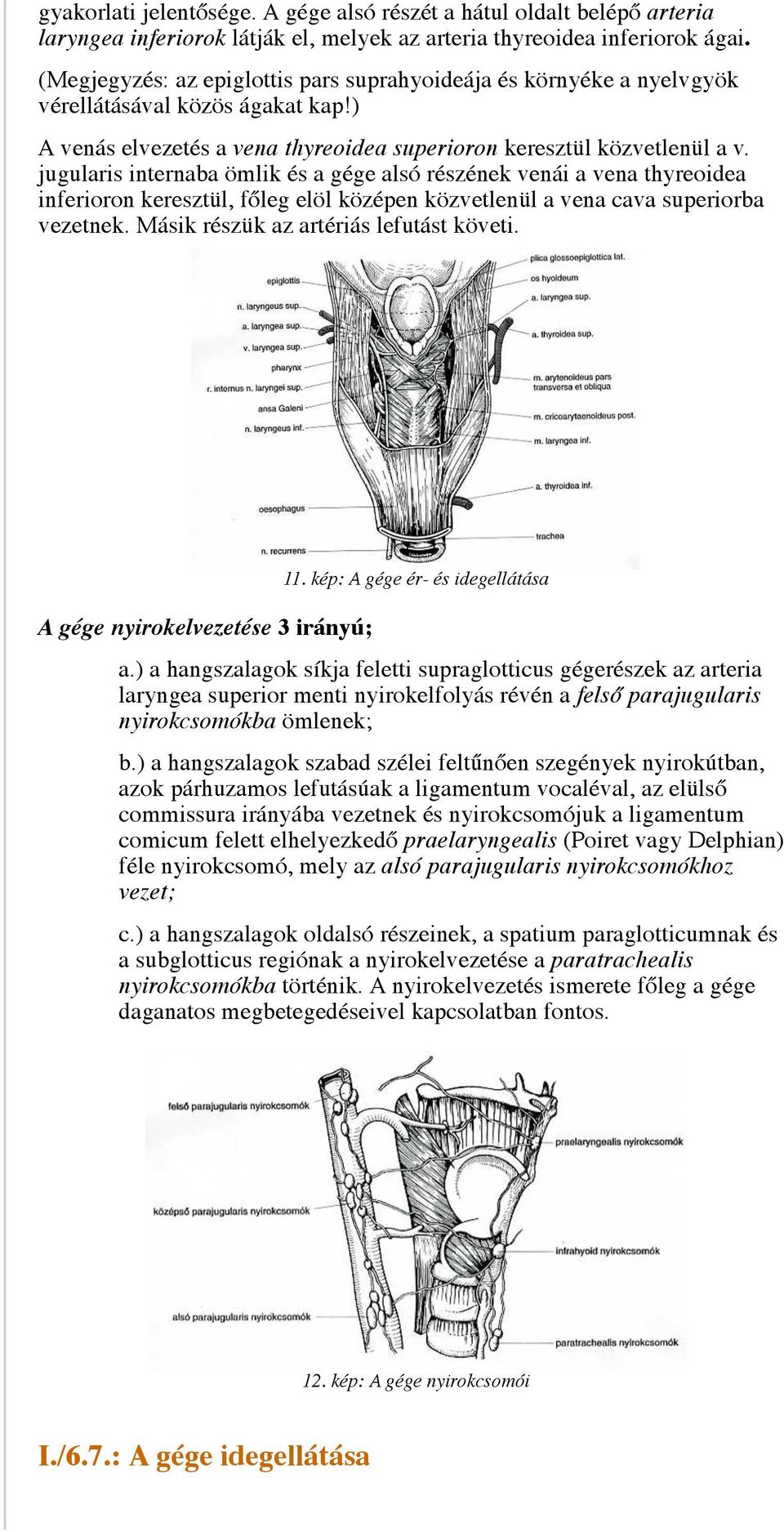 jugularis internaba ömlik és a gége alsó részének venái a vena thyreoidea inferioron keresztül, főleg elöl középen közvetlenül a vena cava superiorba vezetnek.