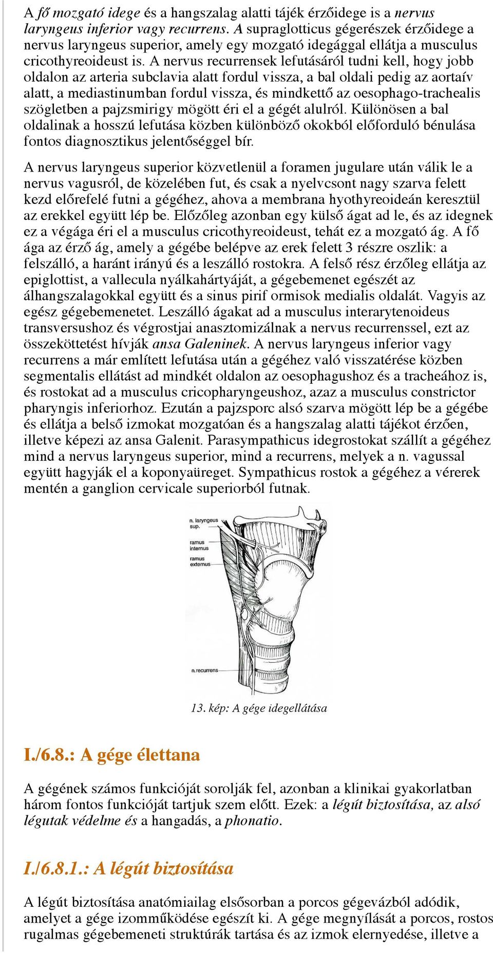 A nervus recurrensek lefutásáról tudni kell, hogy jobb oldalon az arteria subclavia alatt fordul vissza, a bal oldali pedig az aortaív alatt, a mediastinumban fordul vissza, és mindkettő az