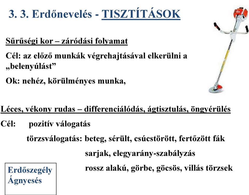 differenciálódás, ágtisztulás, öngyérülés Cél: pozitív válogatás törzsválogatás: beteg, sérült,