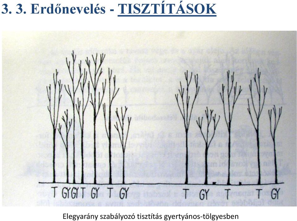 Elegyarány szabályozó