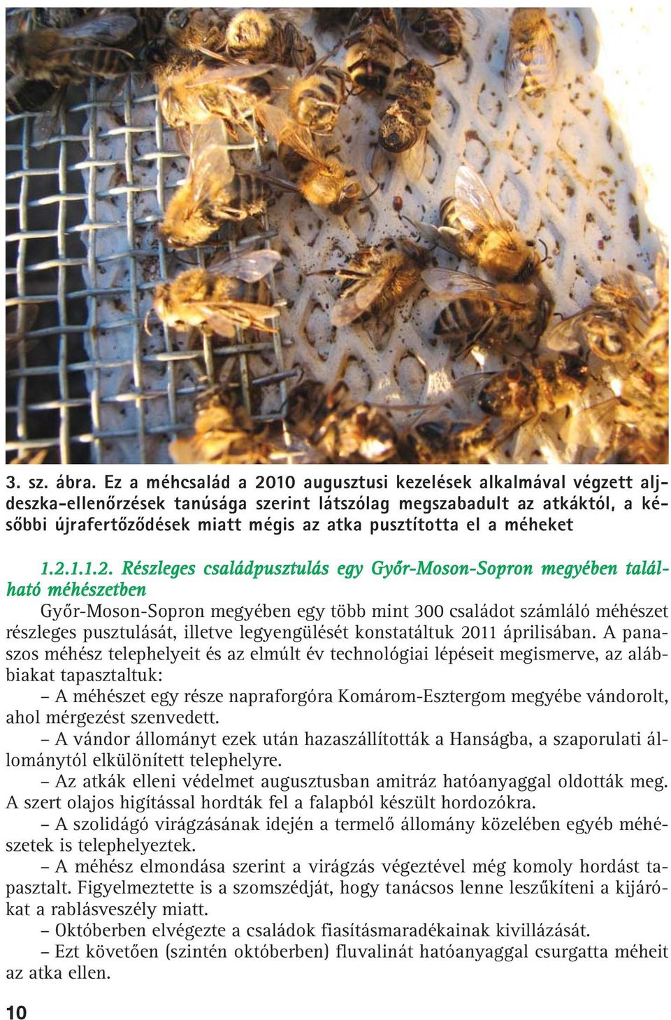 a méheket 1.2.
