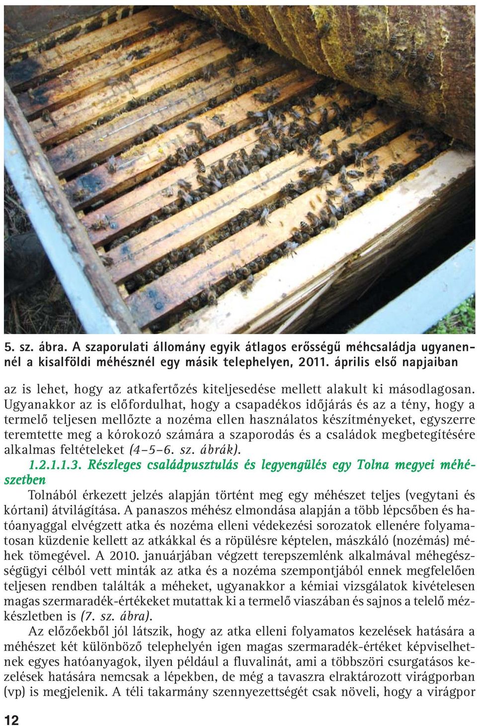 Ugyanakkor az is elõfordulhat, hogy a csapadékos idõjárás és az a tény, hogy a termelõ teljesen mellõzte a nozéma ellen használatos készítményeket, egyszerre teremtette meg a kórokozó számára a