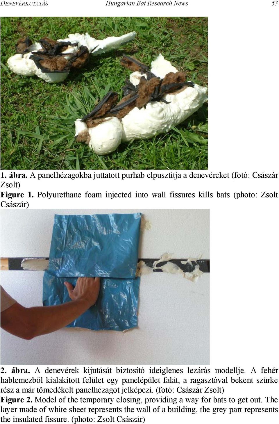 A fehér hablemezből kialakított felület egy panelépület falát, a ragasztóval bekent szürke rész a már tömedékelt panelhézagot jelképezi. (fotó: Császár Zsolt) Figure 2.