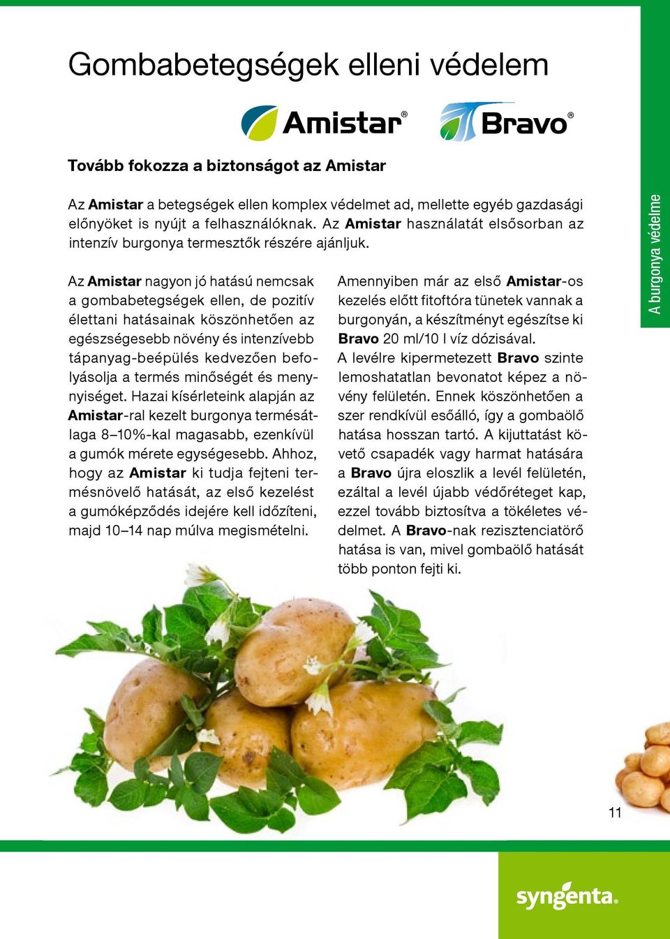 Az Amistar nagyon jó hatású nemcsak a gombabetegségek ellen, de pozitív élettani hatásainak köszönhetően az egészségesebb növény és intenzívebb tápanyag-beépülés kedvezően befolyásolja a termés