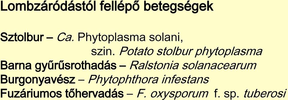 Potato stolbur phytoplasma Barna gyűrűsrothadás Ralstonia