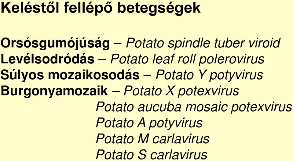 Potato Y potyvirus Burgonyamozaik Potato X potexvirus Potato aucuba