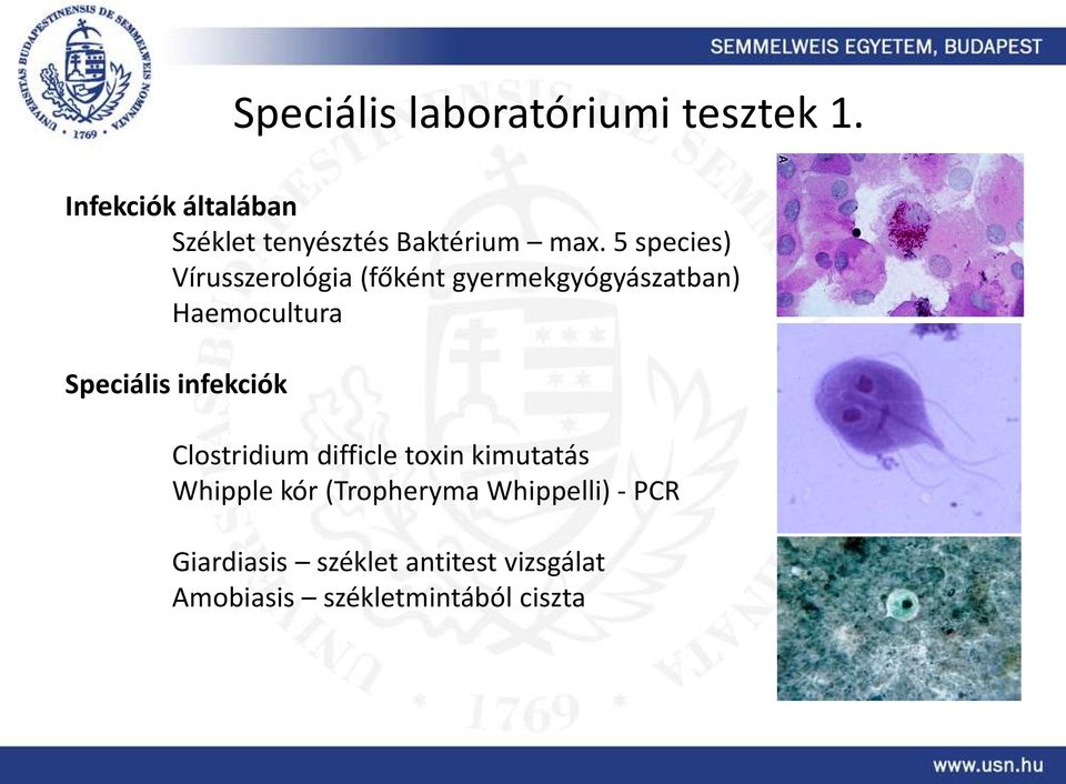 5 species) Vírusszerológia (főként gyermekgyógyászatban) Haemocultura Speciális