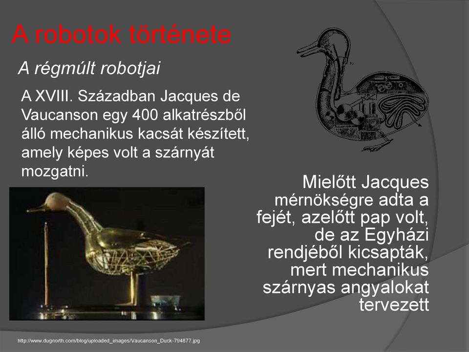 képes volt a szárnyát mozgatni.