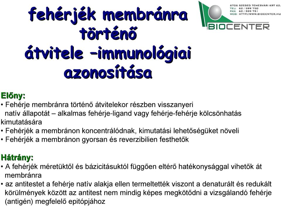 reverzibilien festhetők Hátrány: A fehérjék méretüktől és bázicitásuktól függően eltérő hatékonysággal vihetők át membránra az antitestet a fehérje natív