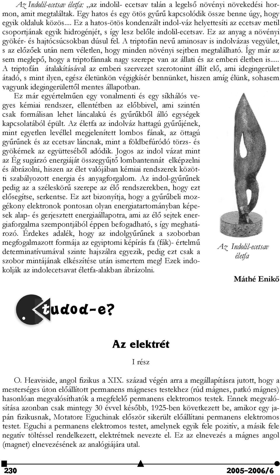A triptofán nev aminosav is indolvázas vegyület, s az el"z"ek után nem véletlen, hogy minden növényi sejtben megtalálható.