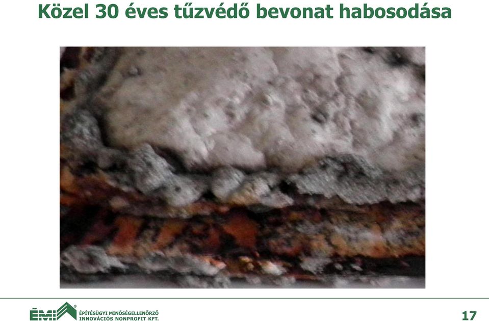 tűzvédő