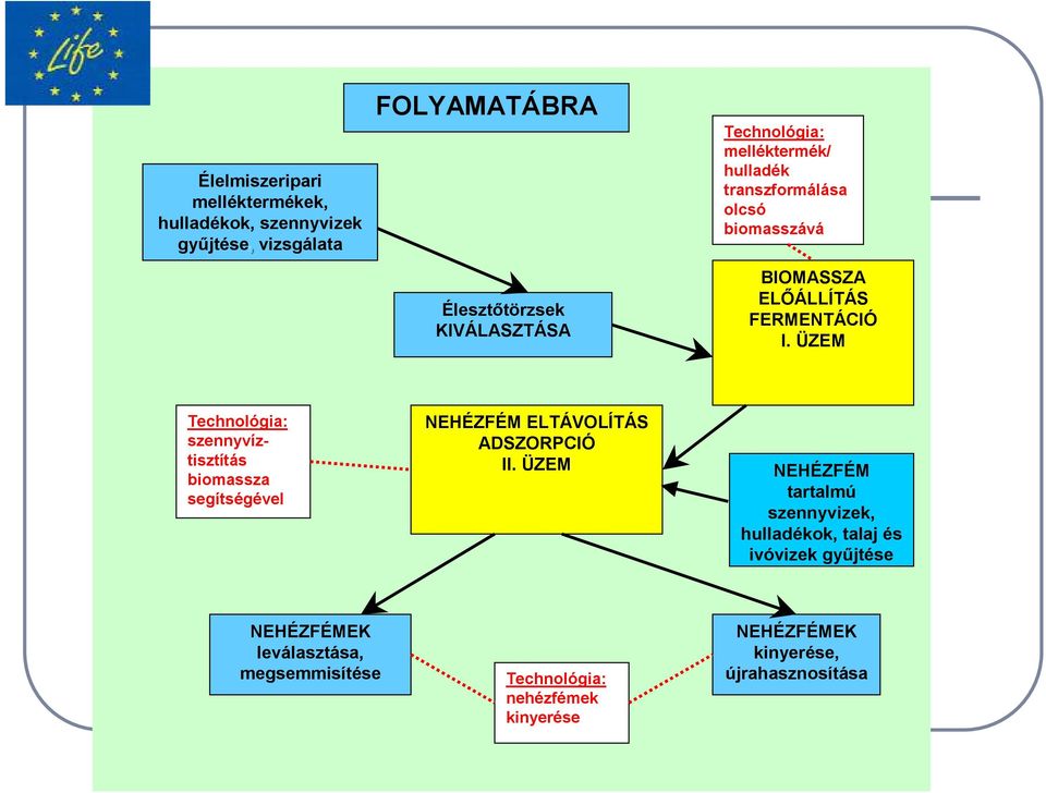 ÜZEM Technológia: szennyvíztisztítás biomassza segítségével NEHÉZFÉM ELTÁVOLÍTÁS ADSZORPCIÓ II.