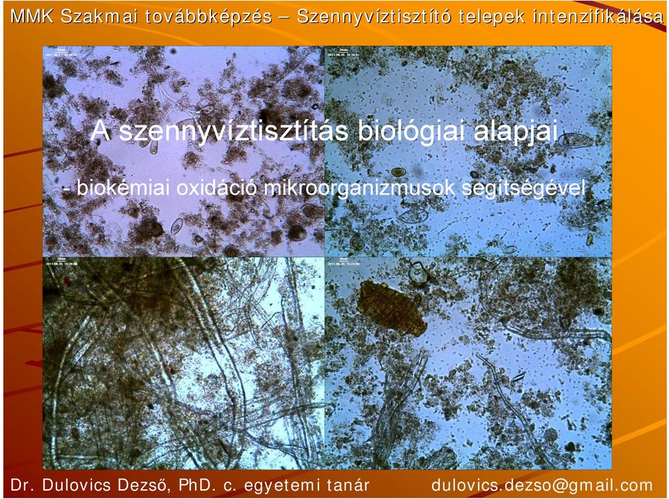 biokémiai oxidáció