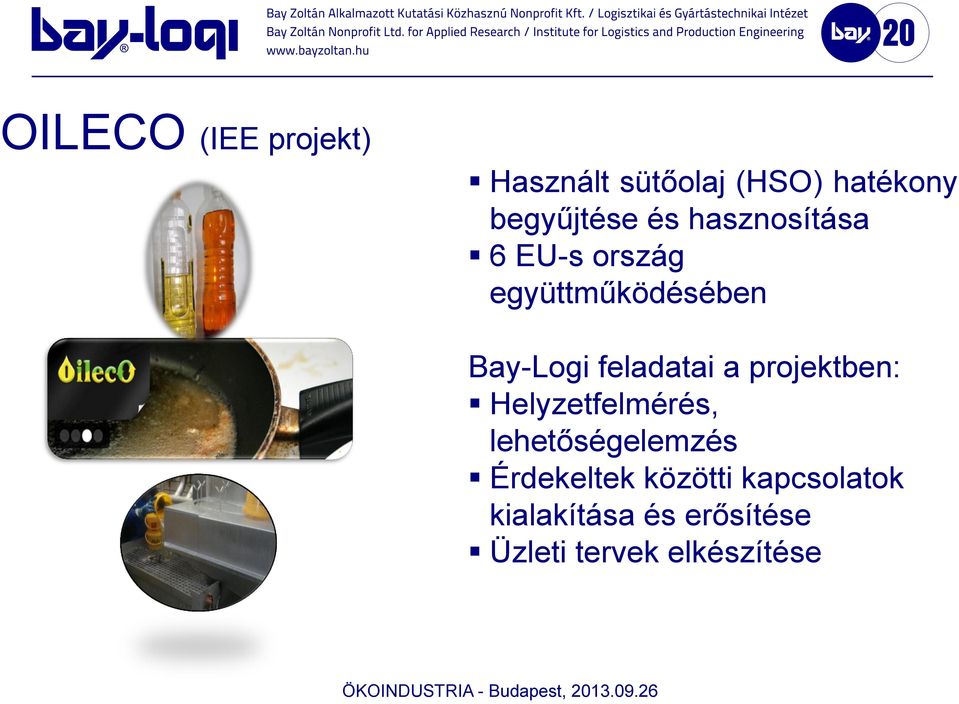 feladatai a projektben: Helyzetfelmérés, lehetőségelemzés