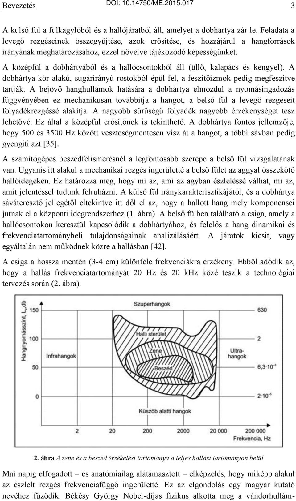 A középfül a dobhártyából és a hallócsontokból áll (üllő, kalapács és kengyel). A dobhártya kör alakú, sugárirányú rostokból épül fel, a feszítőizmok pedig megfeszítve tartják.