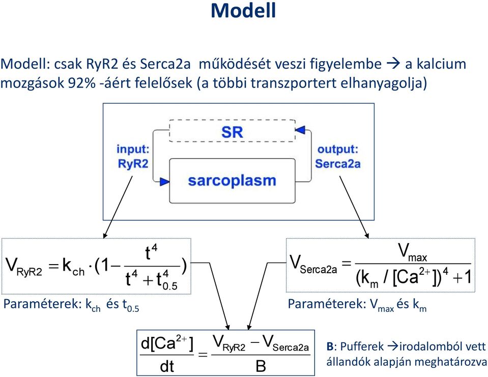 5 ) V / [Ca max VSerca2a 2 4 (km ]) 1 Paraméterek: k ch és t 0.