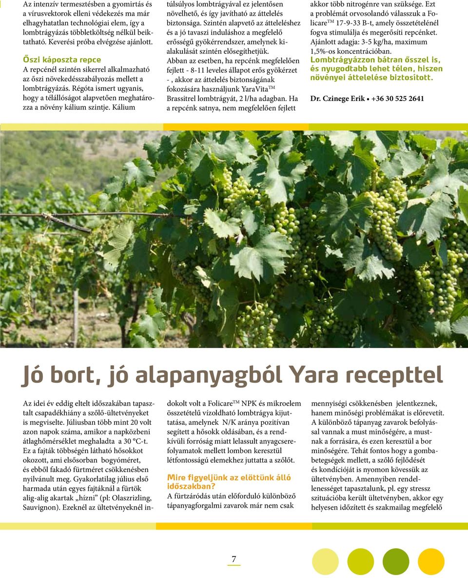 Régóta ismert ugyanis, hogy a télállóságot alapvetően meghatározza a növény kálium szintje. Kálium túlsúlyos lombtrágyával ez jelentősen növelhető, és így javítható az áttelelés biztonsága.