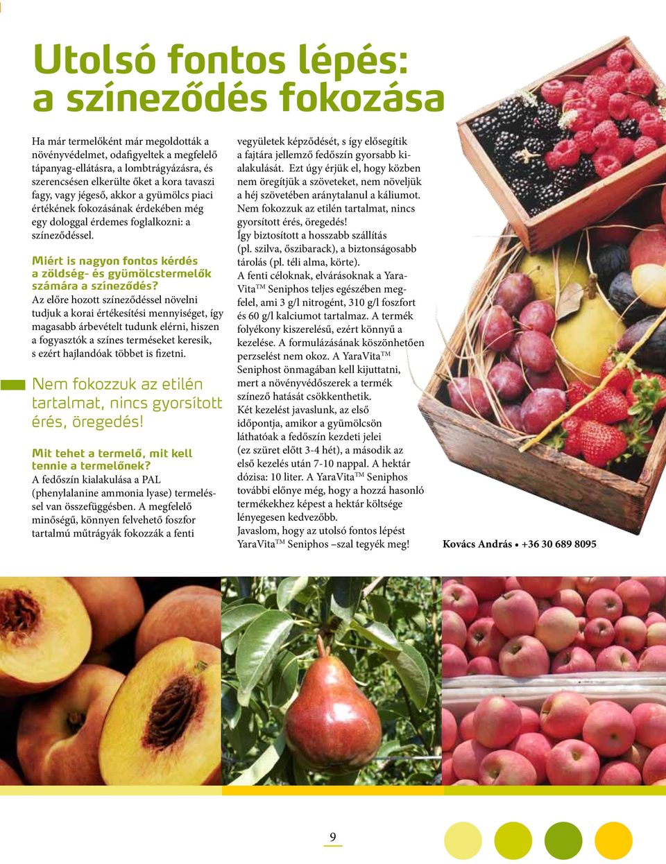 Miért is nagyon fontos kérdés a zöldség- és gyümölcstermelők számára a színeződés?