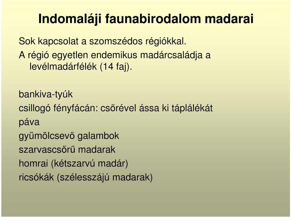 bankiva-tyúk csillogó fényfácán: csőrével ássa ki táplálékát páva