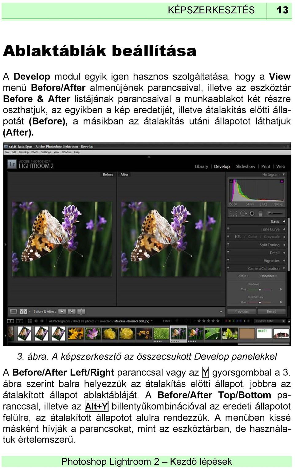 A képszerkesztő az összecsukott Develop panelekkel A Before/After Left/Right paranccsal vagy az Y gyorsgombbal a 3.
