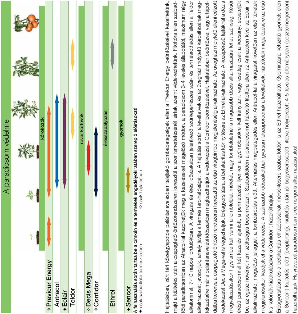 F csak szabadföldi termesztésben G csak hajtatásban Hajtatásban, zárt téri kôzetgyapotos palántanevelésben talajlakó gombabetegségek ellen a Previcur Energy beöntözésével kezelhetünk, majd a