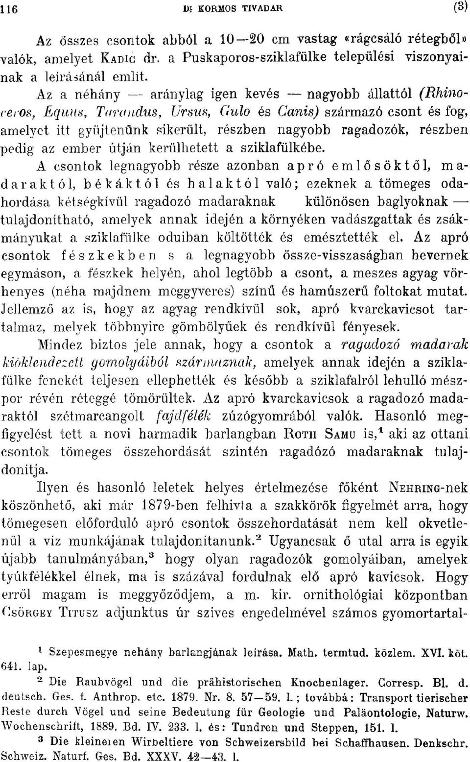 ~, (;ulo és Canis) származó csont és fog, amelyet itt gyüjtenünk f:ikerült, részben nagyobb ragadozók, részben pedig az ember útján kerülhetett a sziklafülkébe.