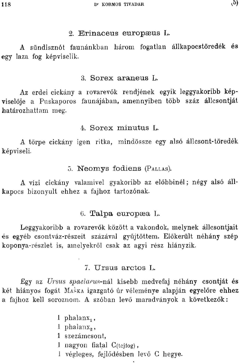 A törpe cickány igen ritka, mindössze egy alsó állcsont-töredék képviseli. 3. Neomys fodiens (PALLAS).