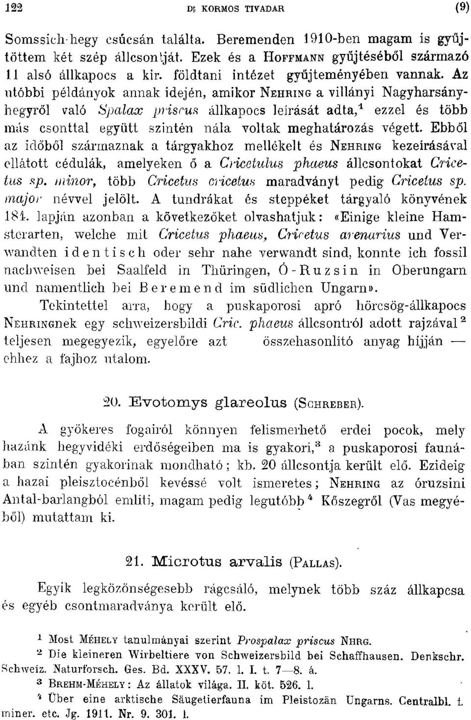 Az utóbbi példányok annak idején, amikor NEHRING a villányi Nagyharsányhegyről való Spalax jjl'isrus állkapocs leírását adta,l ezzel és több mús csonttal együtt szintén nála voltak meghatározás