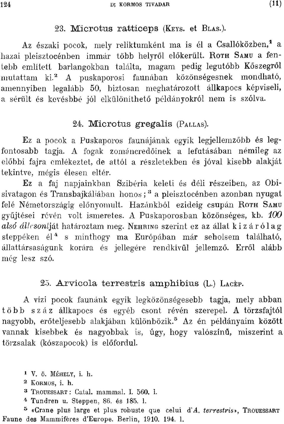 2 Apuskaporosi fannában közönségesnek mondható, amennyiben leg'alább 50, hiztosan meghatározott állkapocs képviseli. a sérült és kcyéshbé jól elkülöníthető példányokról nem is szólva. 24.