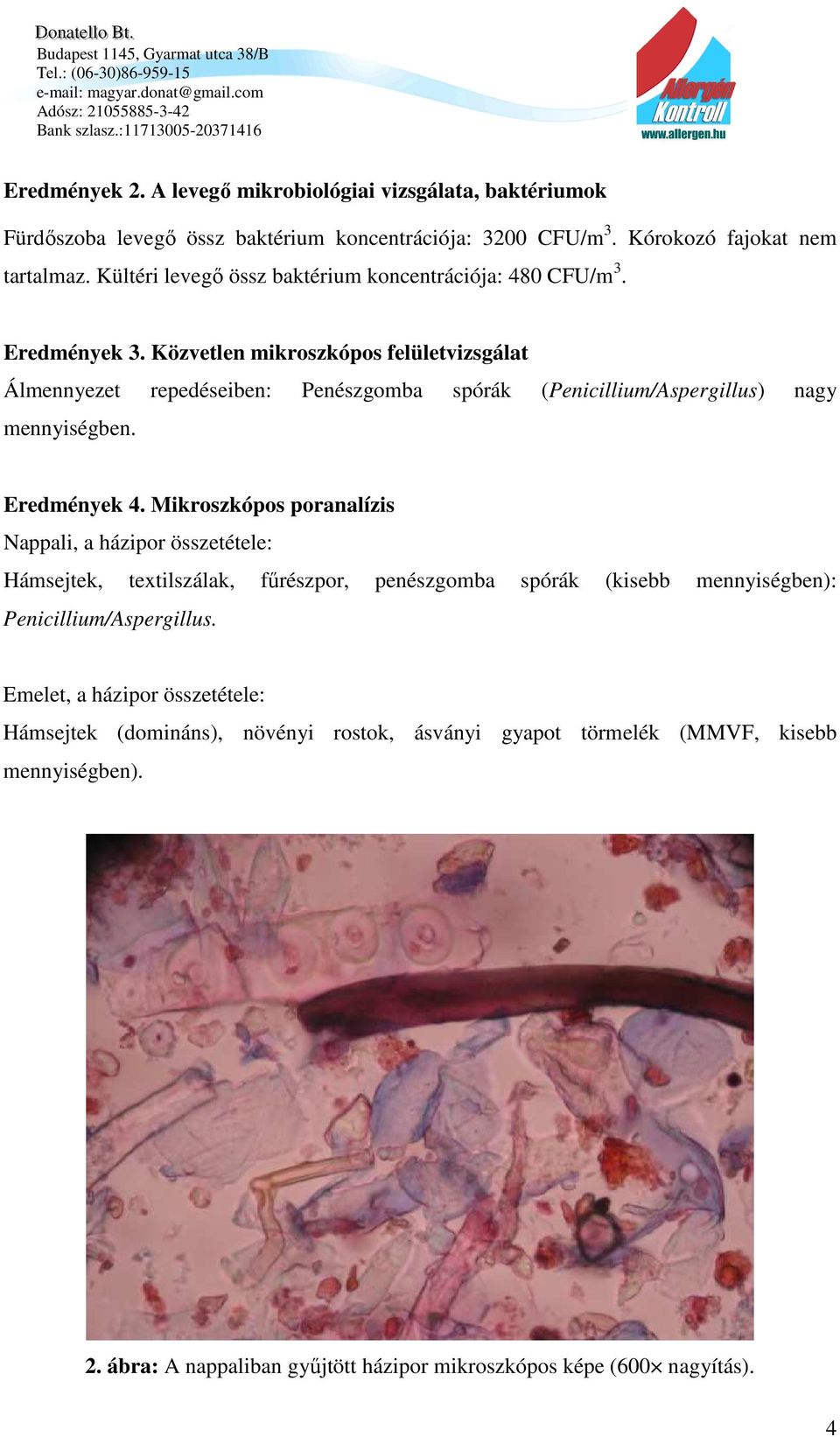 Közvetlen mikroszkópos felületvizsgálat Álmennyezet repedéseiben: Penészgomba spórák (Penicillium/Aspergillus) nagy mennyiségben. Eredmények 4.