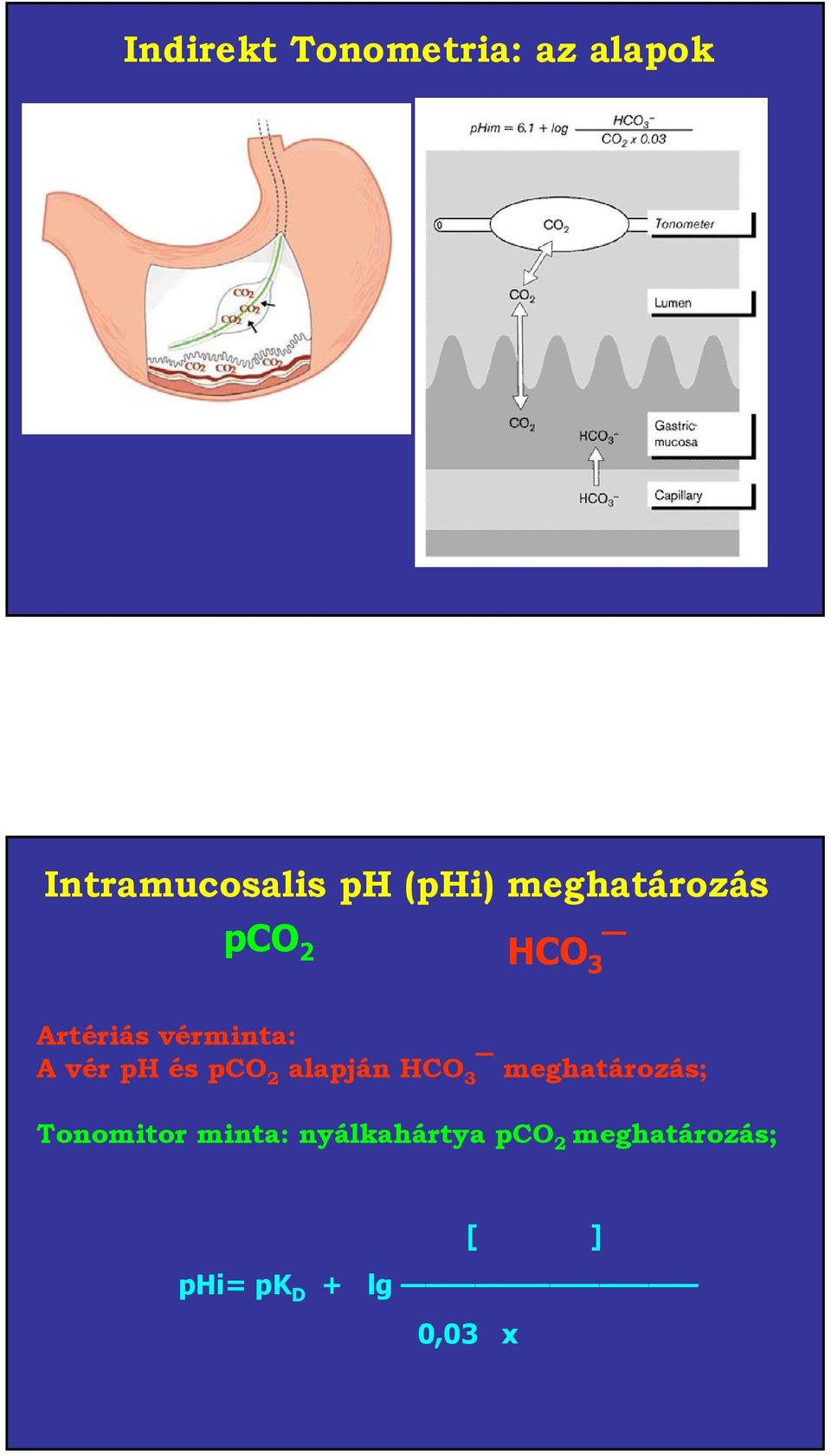 és pco 2 alapján HCO 3 meghatározás; Tonomitor minta: