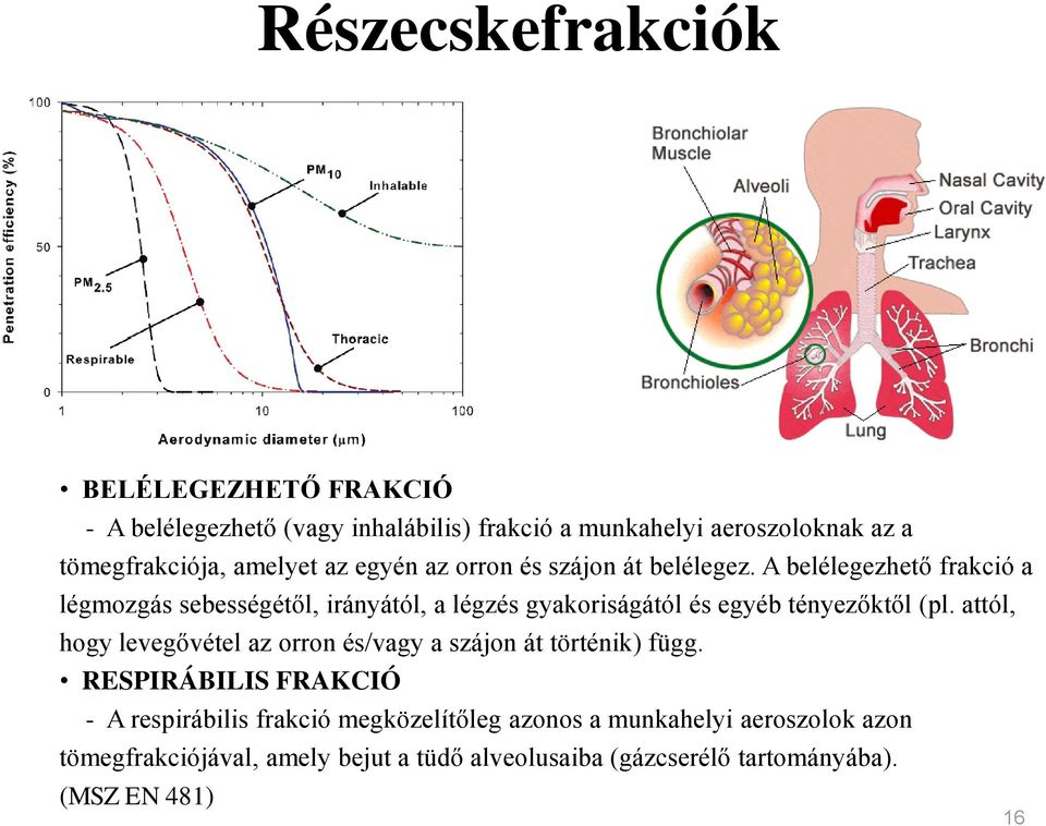 A belélegezhető frakció a légmozgás sebességétől, irányától, a légzés gyakoriságától és egyéb tényezőktől (pl.