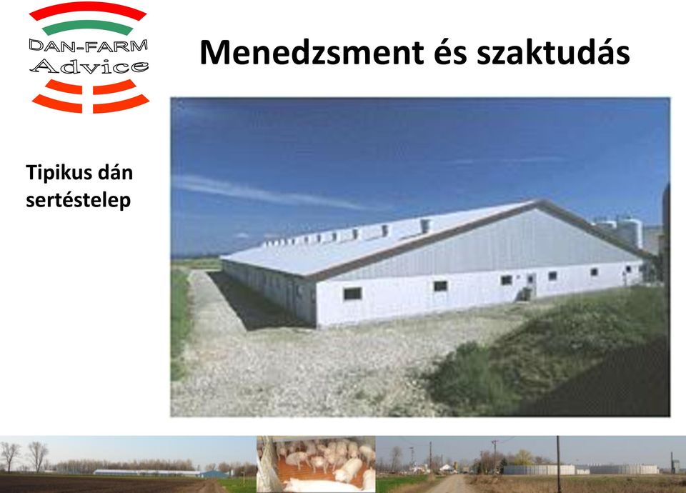 Menedzsment