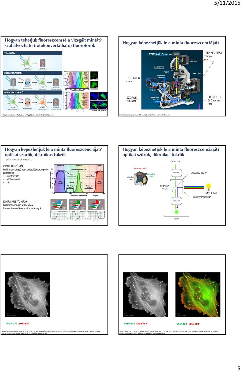 html http://zeiss-campus.magnet.fsu.edu/tutorials/axioobserver/index.html Hogyan képezhetjük le a minta fluoreszcenciáját? optikai szûrõk, dikroikus tükrök (ld.
