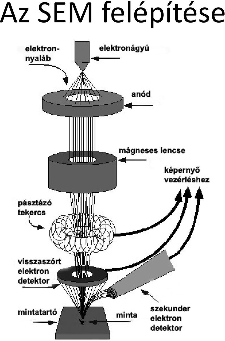 Pásztázó elektronmikroszkóp (SEM scanning electronmicroscope) - PDF  Ingyenes letöltés
