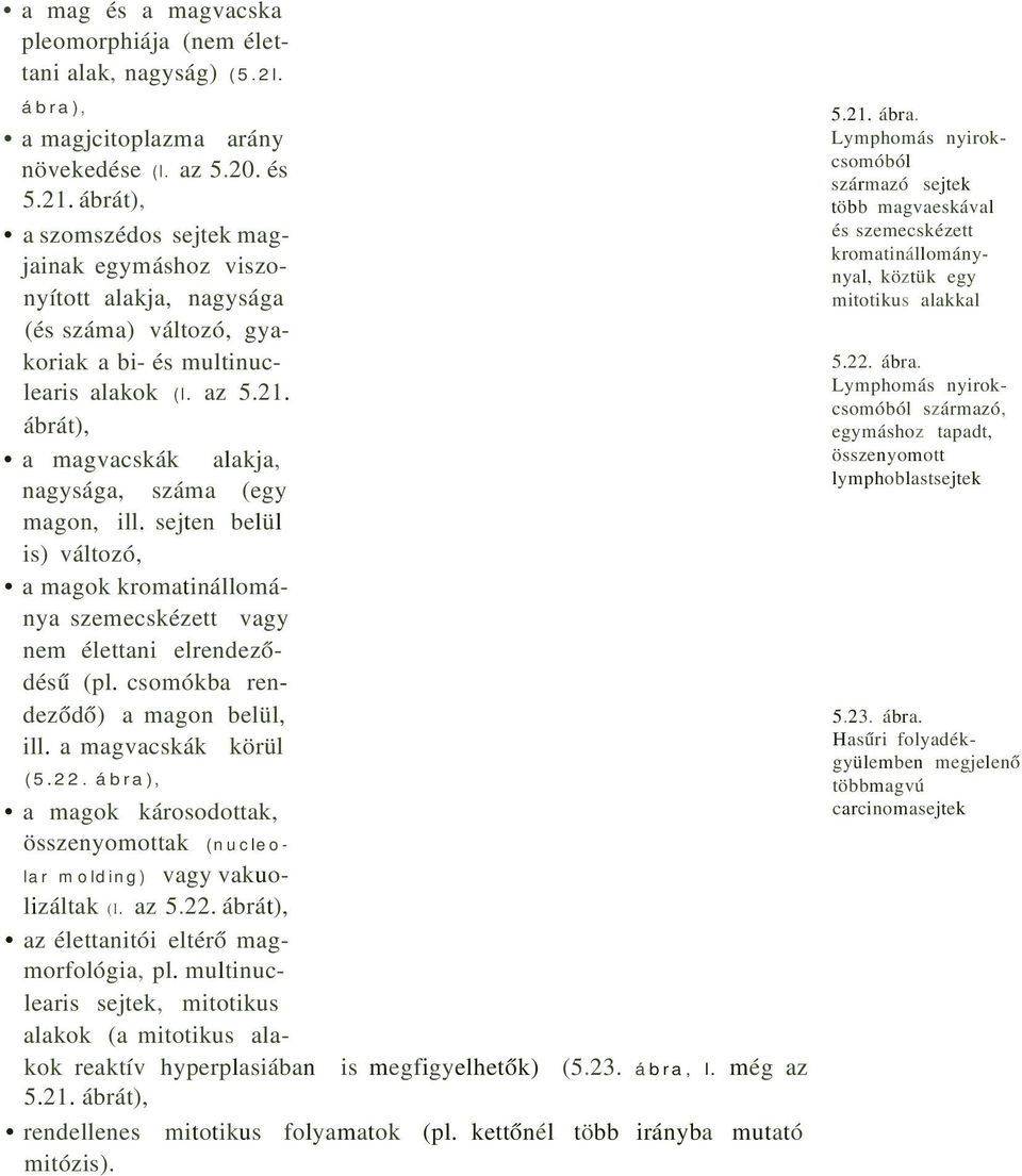 ábrát), a magvacskák alakja, nagysága, száma (egy magon, ill. sejten belül is) változó, a magok kromatinállománya szemecskézett vagy nem élettani elrendeződésű (pl.