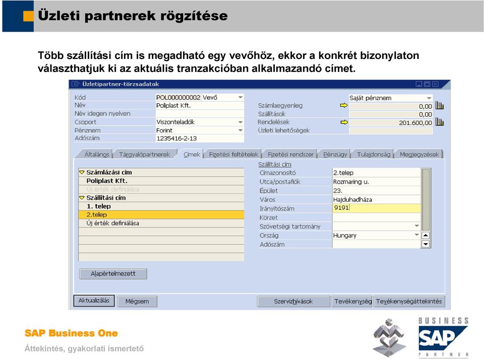 SAP Business One. Üzleti partnerek kezelése. Mosaic Business System Kft.;  Support: - PDF Free Download