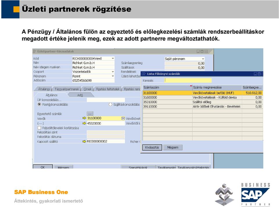 SAP Business One. Üzleti partnerek kezelése. Mosaic Business System Kft.;  Support: - PDF Free Download